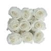 Emotional roses Medium Pure White Square White